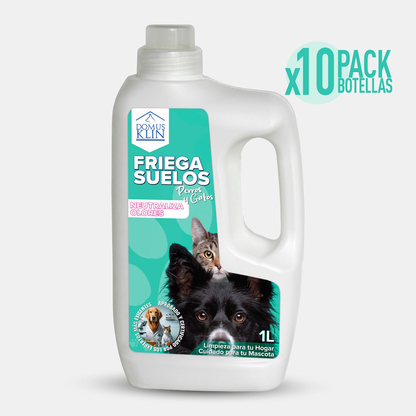 x10 Domusklin Friegasuelos 1L